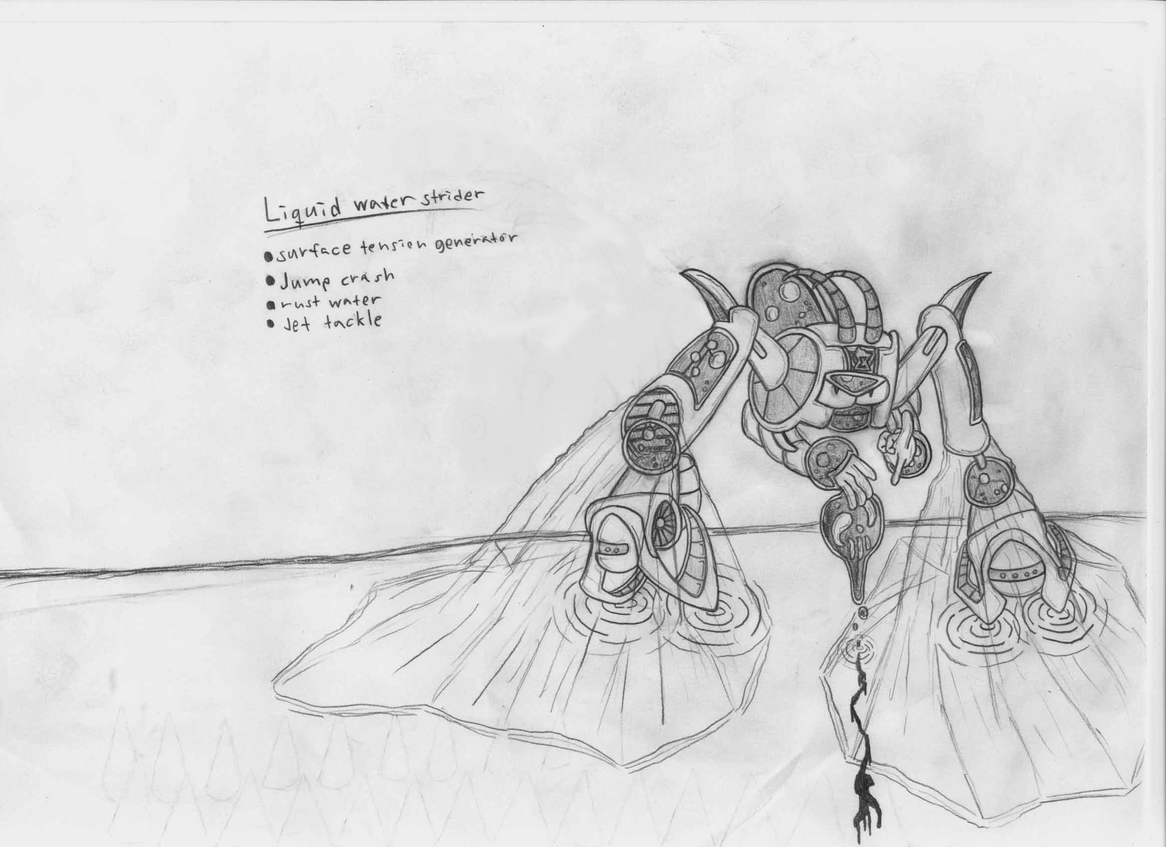 Liquid Water Strider